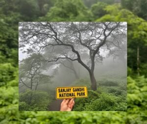 Sanjay gandhi national park photo