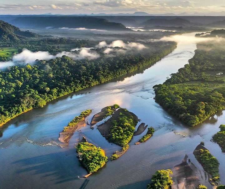 Amazon River wildlife jungle safari