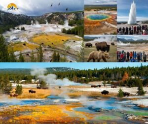 Yellowstone National park image 